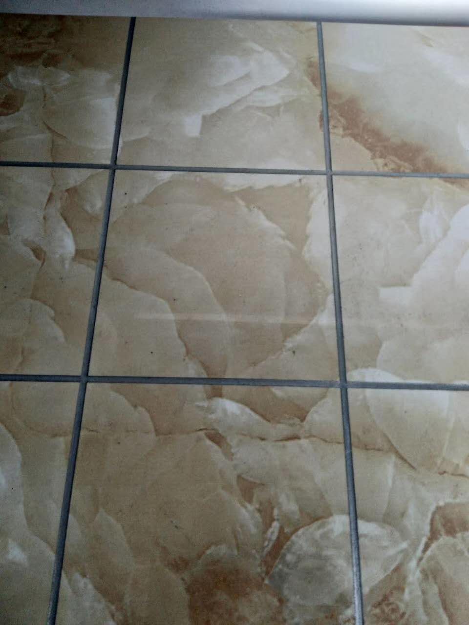 美缝 (2).jpg