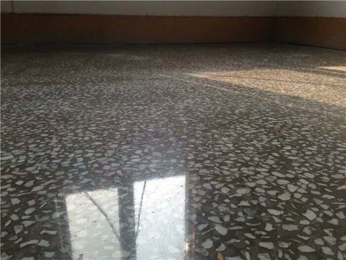 4875457.jpg