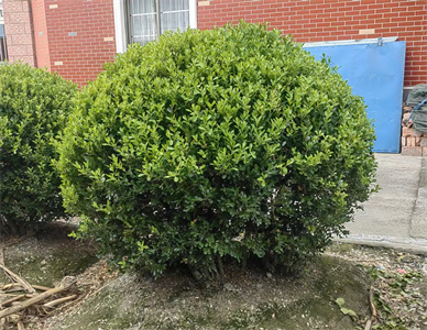 c78bf27a-26db-4e77-a0aa-1b36b60c2533.jpg