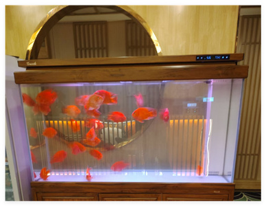 QQ20241121-192245.jpg