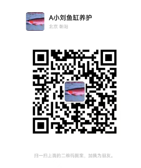 1732178389548.png