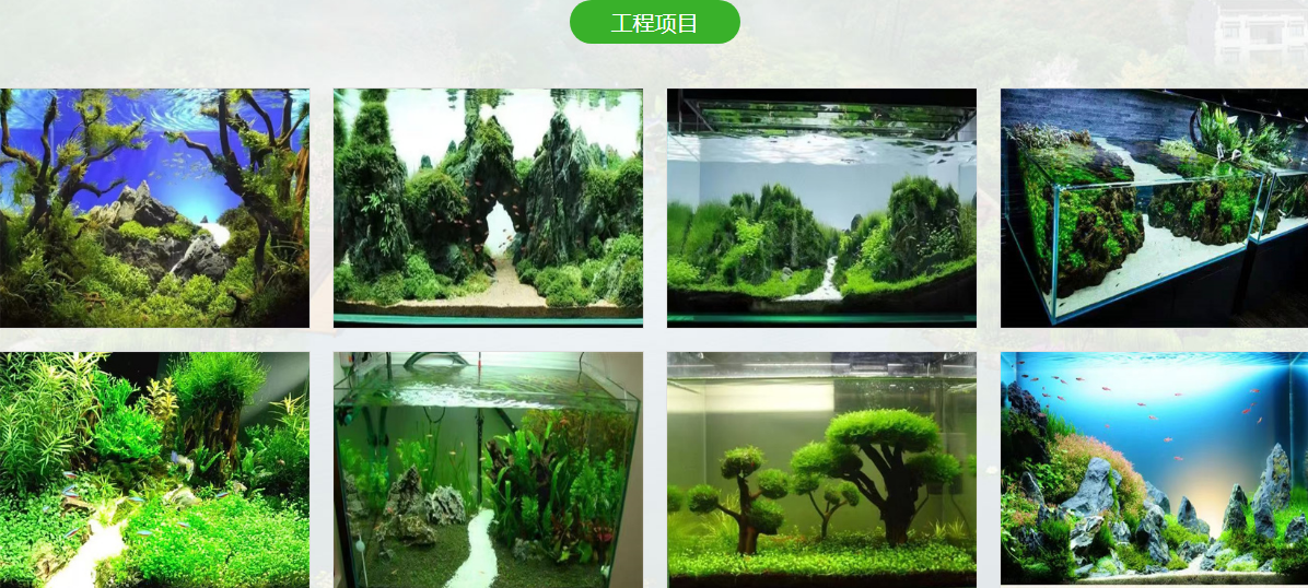 搜狗高速浏览器截图20241121212126.png