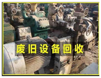 QQ20241124-191952.jpg