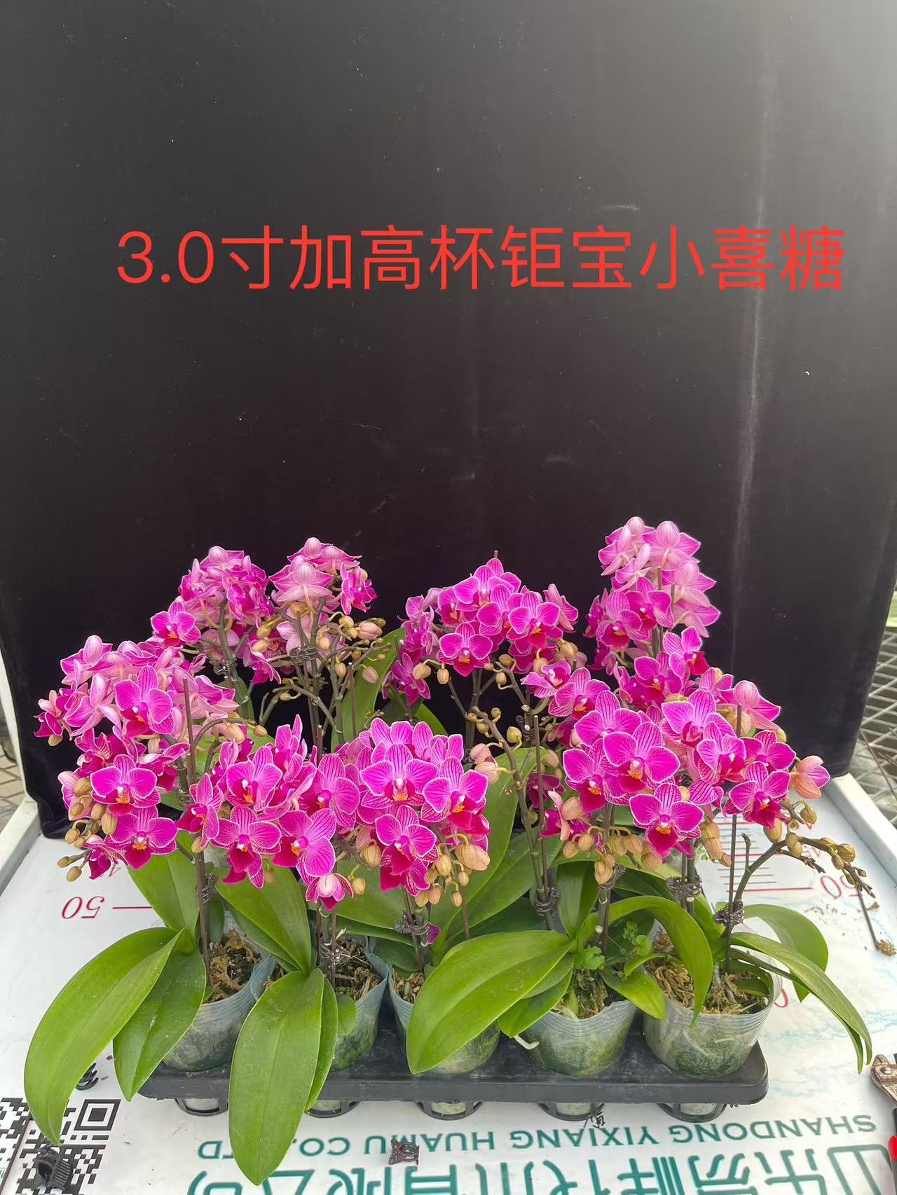 微信图片_20241124092221.jpg
