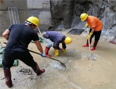 微信截图_20241121205025.jpg