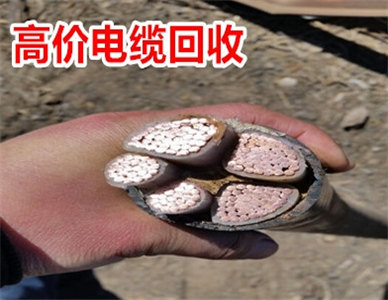 微信截图_20240726091406.jpg