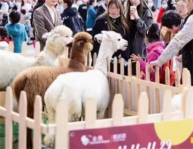 微信截图_20241125161544.jpg