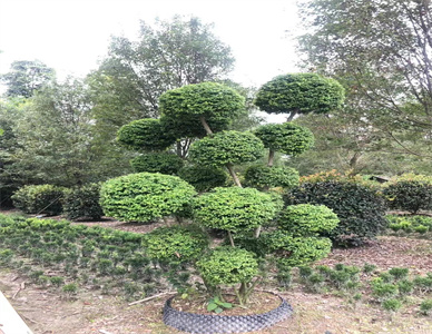 微信图片_20241129200140.jpg