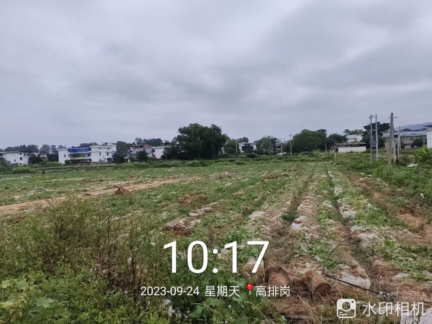 微信图片_20241202083100.jpg