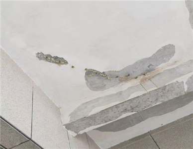 QQ截图20241202203116.jpg