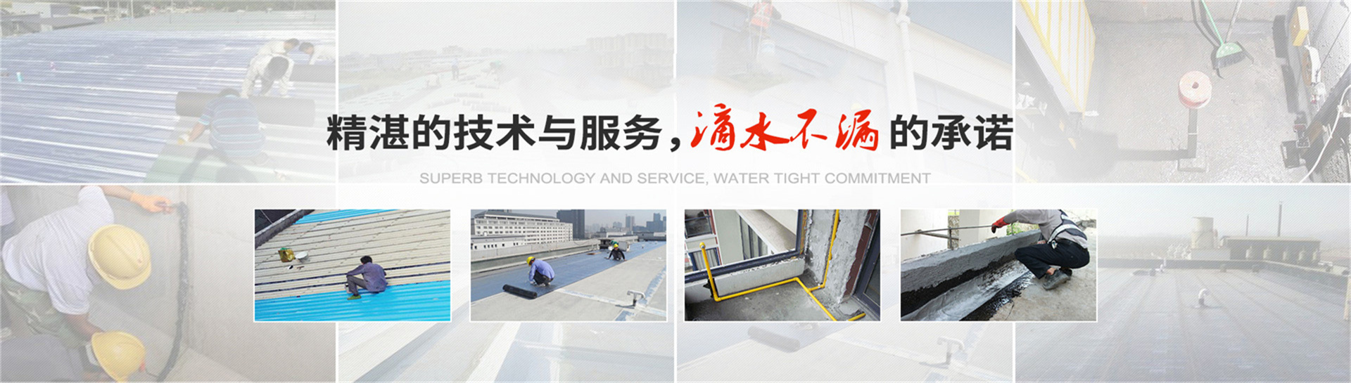 ff4999ef7823a9c2fd1eca7445041087.jpg
