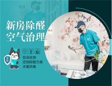 新房除醛.jpg