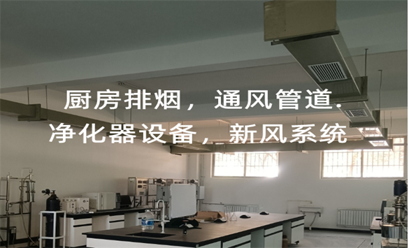 微信截图_20241213170659_副本.jpg