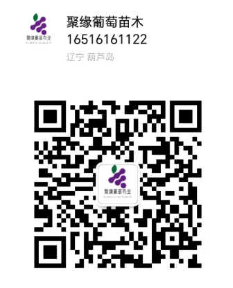 微信截图_20241213110935.png