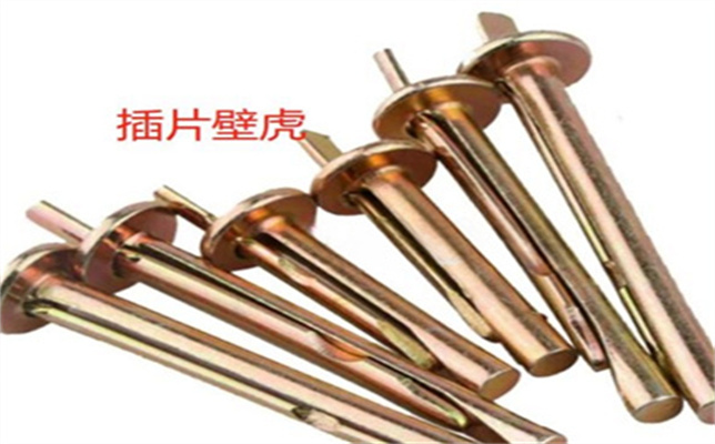 插片壁虎.jpg