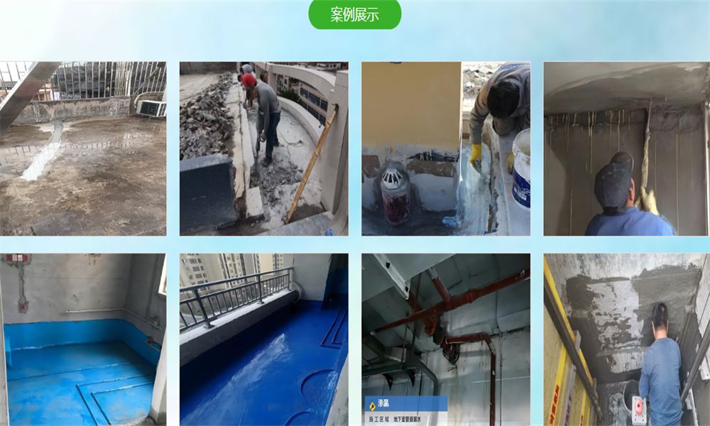 搜狗高速浏览器截图20250613174632.jpg